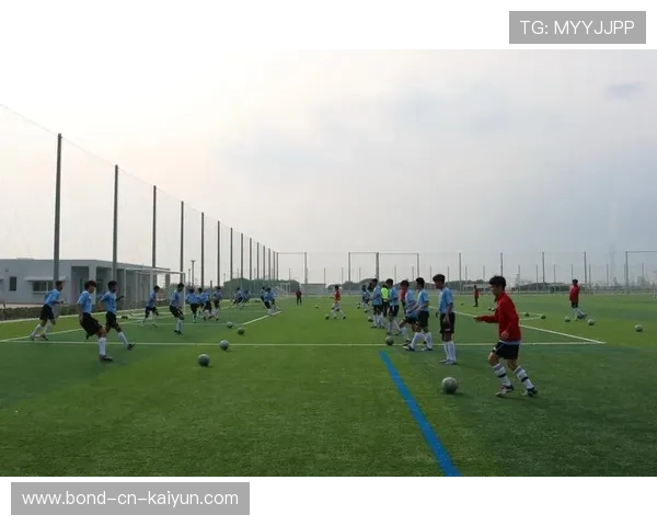 琑队如何完善青训课程的职业导向、实战性与评估体系，青训队伍