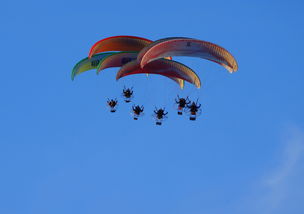 开云体育登录-德甲球队构建动态战术模拟系统提升临场应变